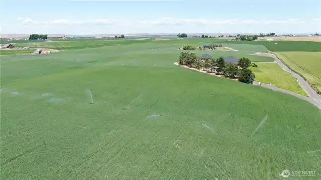 Irrigated Acreage