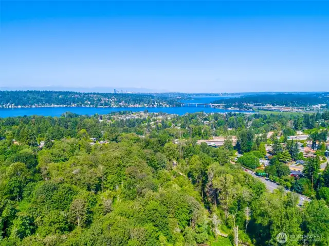 Excellent proximity to Lake Washington