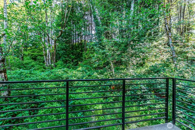 Serene back deck off the dining room