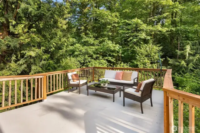 Fabulous south-facing deck nestled among the trees, offering generous space for entertaining. Brand-new railings installed in 2024, and deck reinforced from below for added durability.