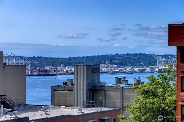 Protected Elliott Bay Views