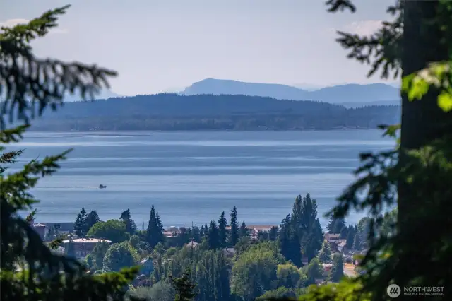 Views through the trees of Bellingham Bay and Fairhaven