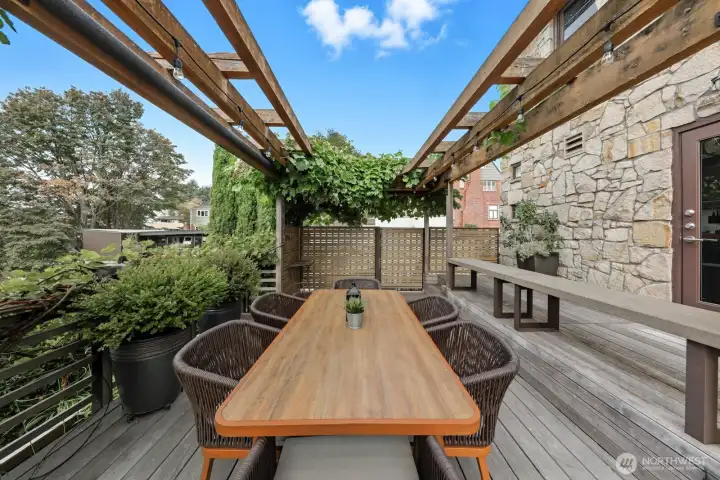 Large entertaining deck off the kitchen. Notice all the grapevines!  The grapes are ripe now and delicious.