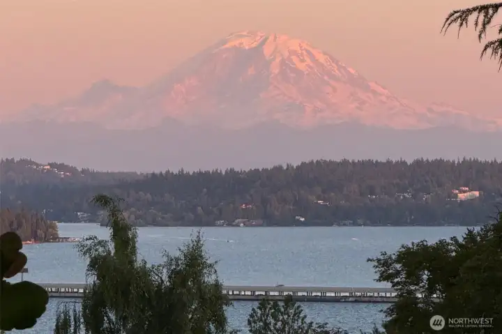 Mount Rainier views from the front patio.