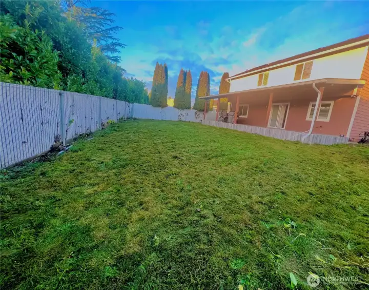 large fenced backyard
