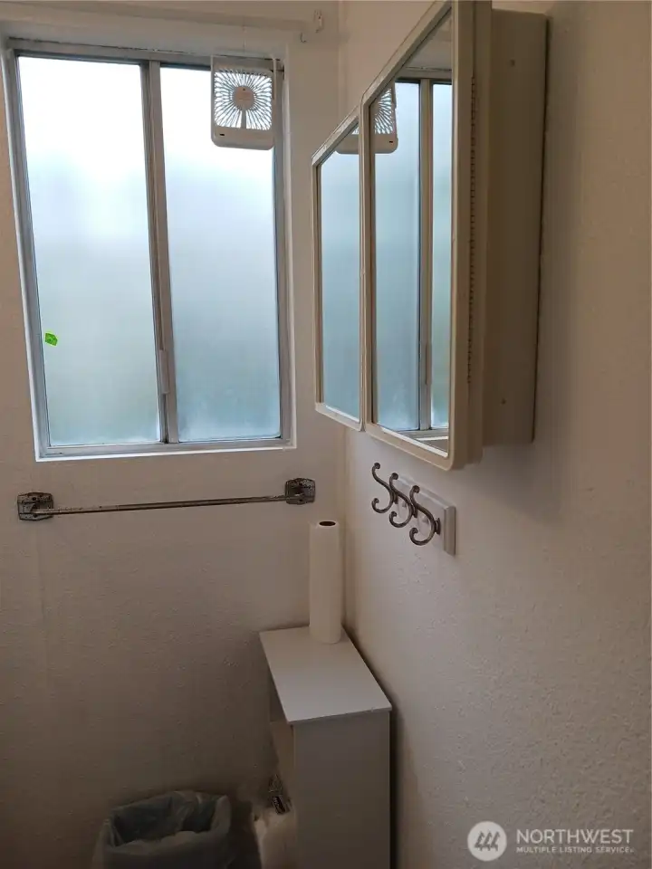 Bathroom view