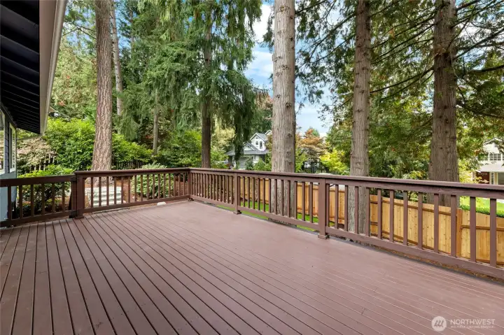 Huge back deck, freshly painted in 2025.
