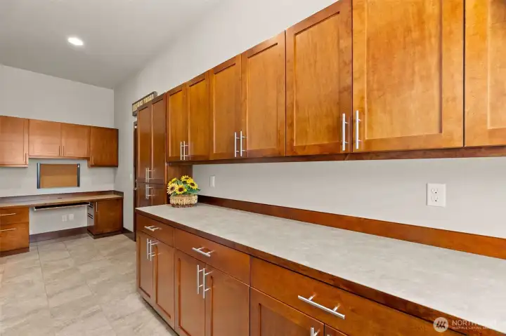 bonus storage and counter space in laundry w desk