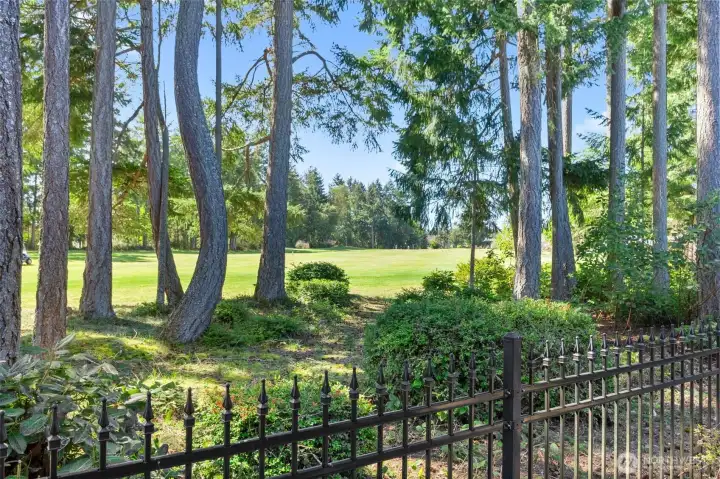 Concrete patio and walkway