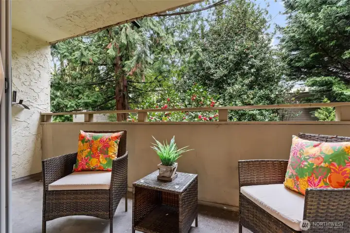 Huge patio off living room