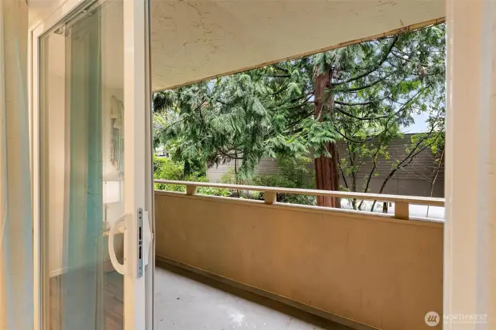 Huge patio off the primary suite