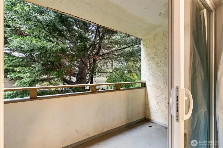 Slider off the 3rd bedroom