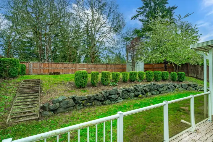 Large backyard with cherry trees!