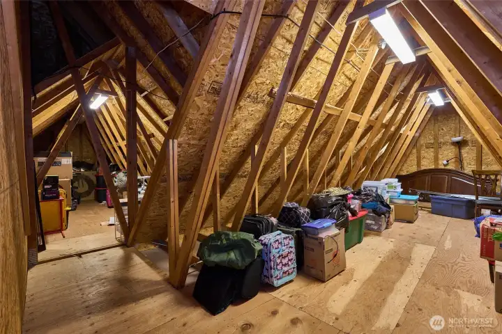 Huge attic storage