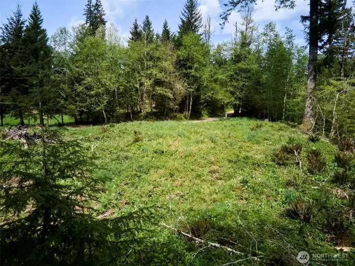 Homesite