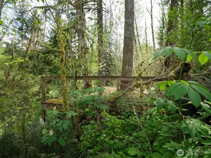 Old deck looking over Creek