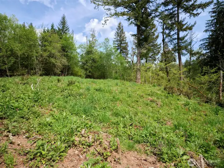 Homesite