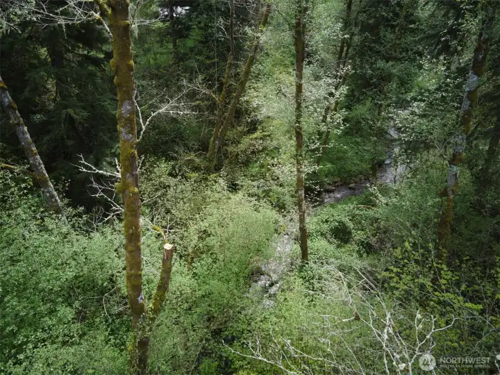 Creek frontage