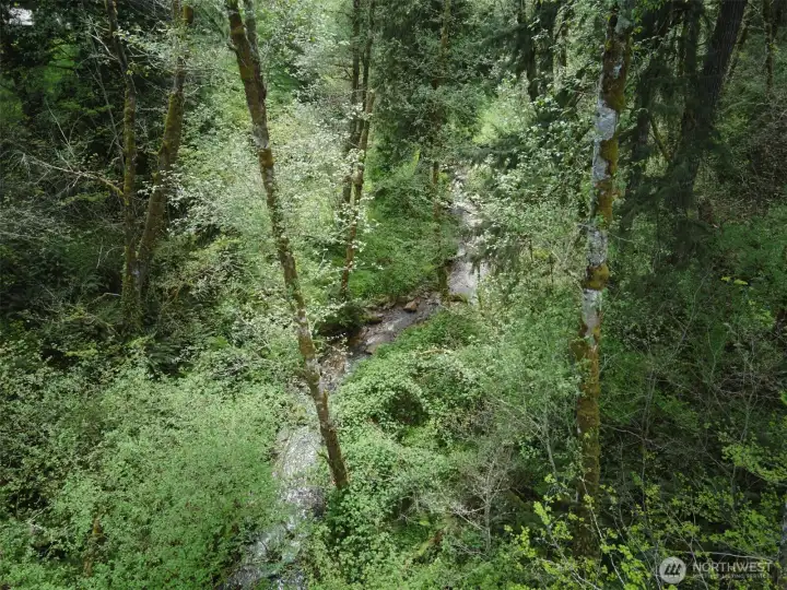 Creek Frontage
