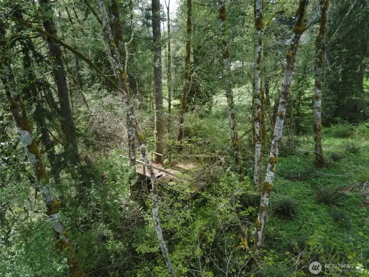 Old deck on property