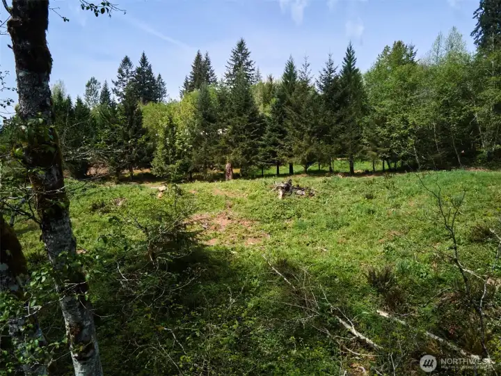 Homesite