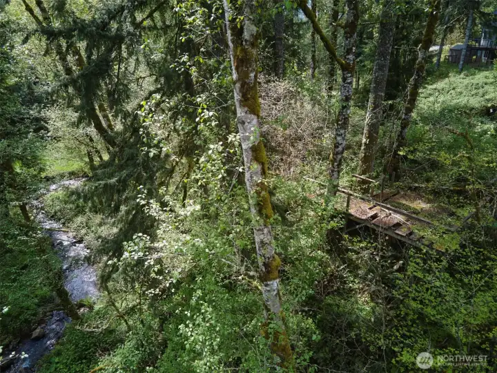 Creekside