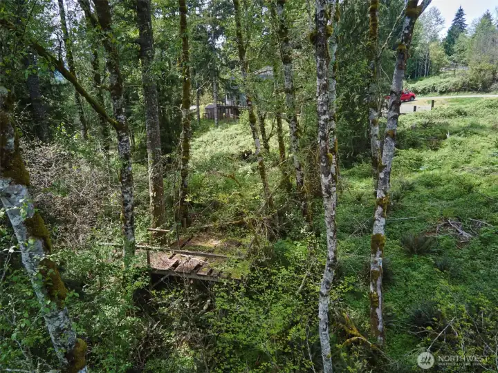 Area down by creek
