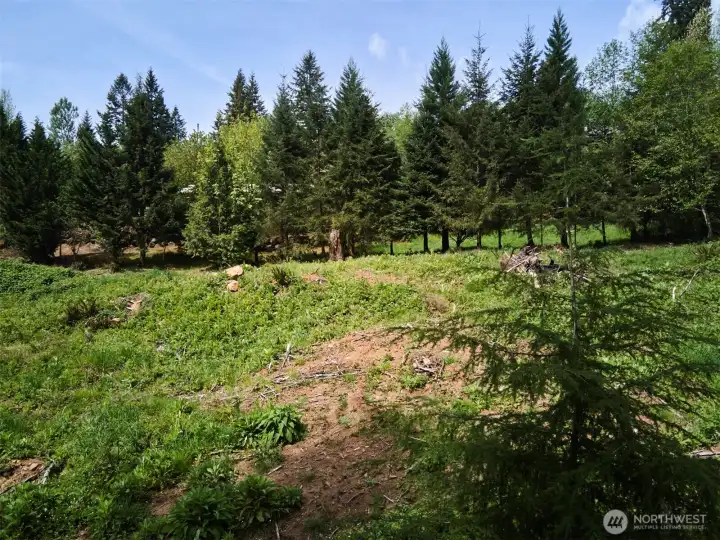 Homesite
