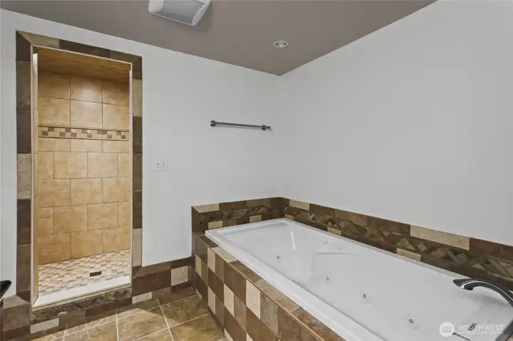 Another View of the Lower Primary Bathroom