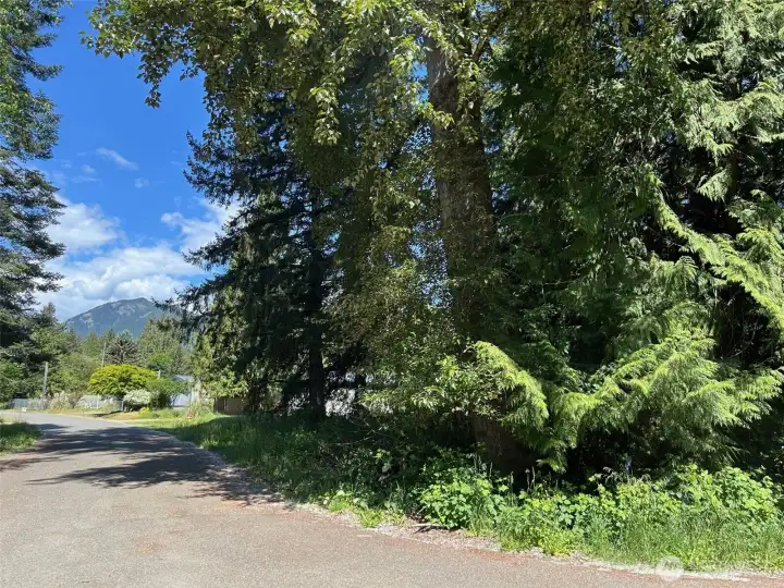 Nice sunny lots with mountain views. Nice sunny lots with mountain views.