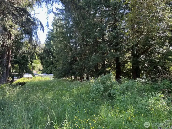 Lot is partially cleared. There was previously a septic permit which expired. Lot is partially cleared. There was previously a septic permit which expired.