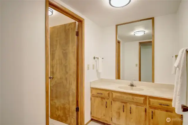 Lower level Primary bath