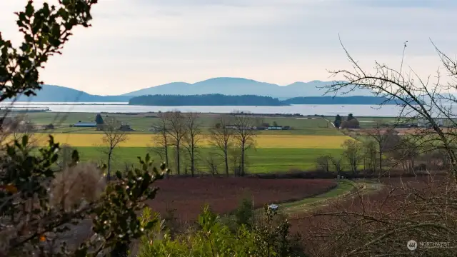 The views from this home are just incredible! Looking over the blueberries toward the San Juan Islands with an abundance of nature in between!