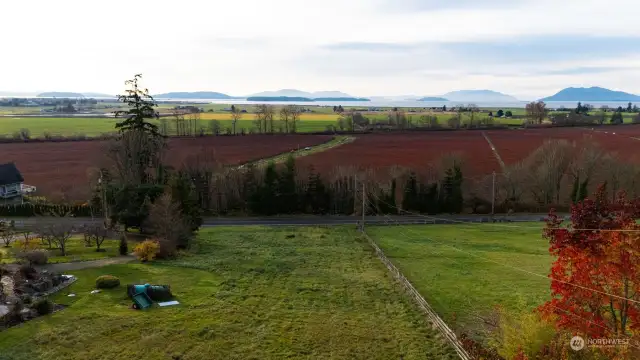 Another view which shows the fence line of the neighbor where there is an access easement for this home, as well as access from Tulip Lane.