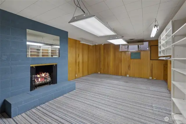 Rec Room in Basement