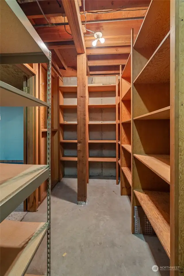 Storage in basement