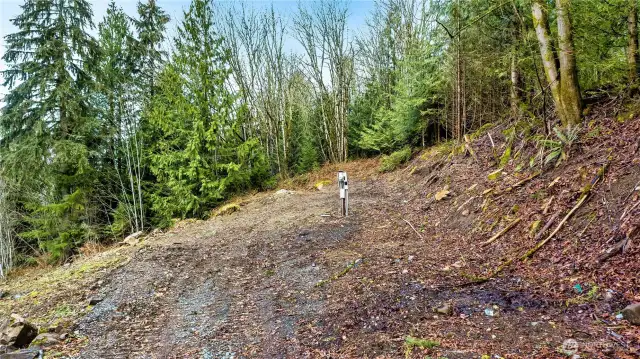 Site 2 - Upper part of property