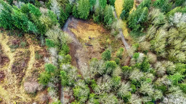 Site 2 - Upper part of property