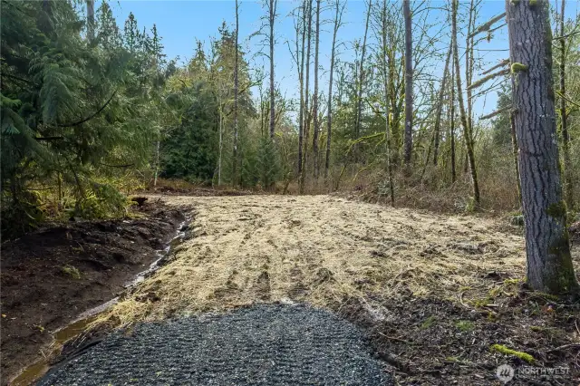 Site 1 - Lower part of property