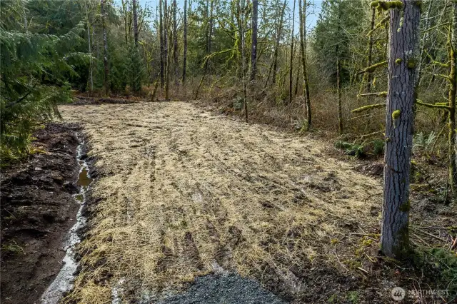 Site 1 - Lower part of property