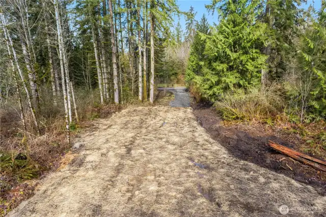 Site 1 - Lower part of property