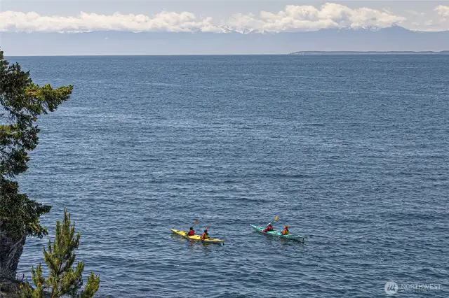 Snow capped Olympic Mountains provide a stunning backdrop for water views