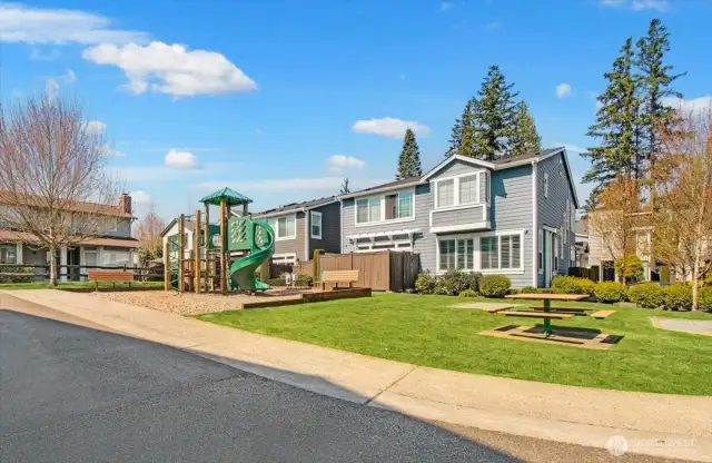 Community Playground