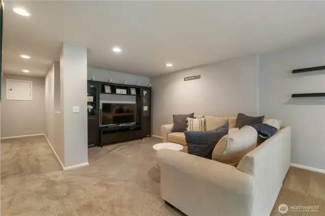 Basement Rec Room