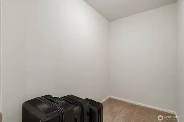 One of two storage closets downstairs.