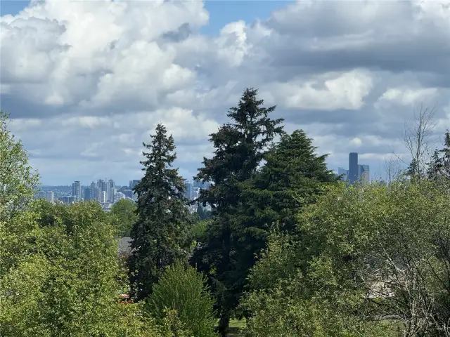 View from back deck