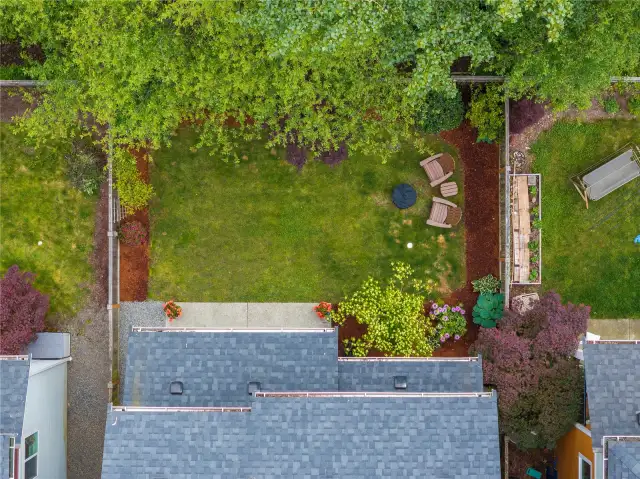 Backyard Aerial View