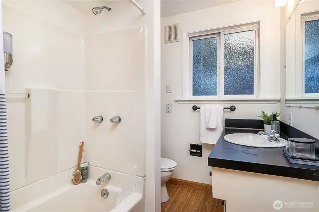 Lower level full bath