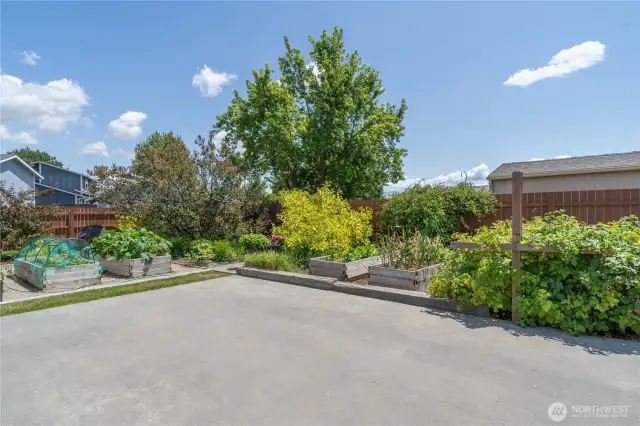Court Yard in back yard