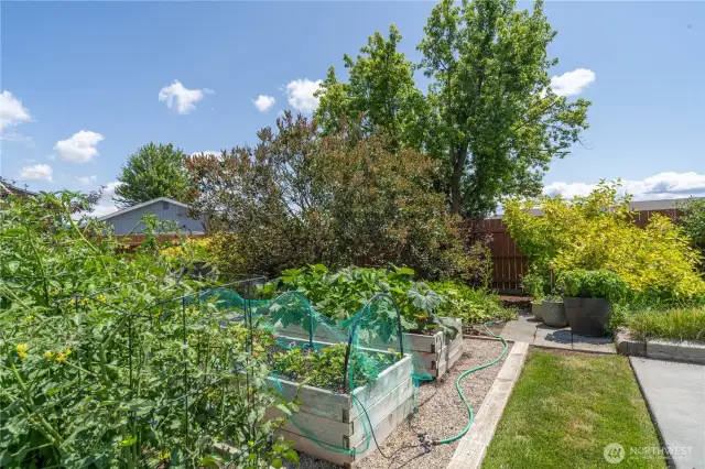 Raised Garden beds